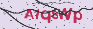 Captcha認証コード
